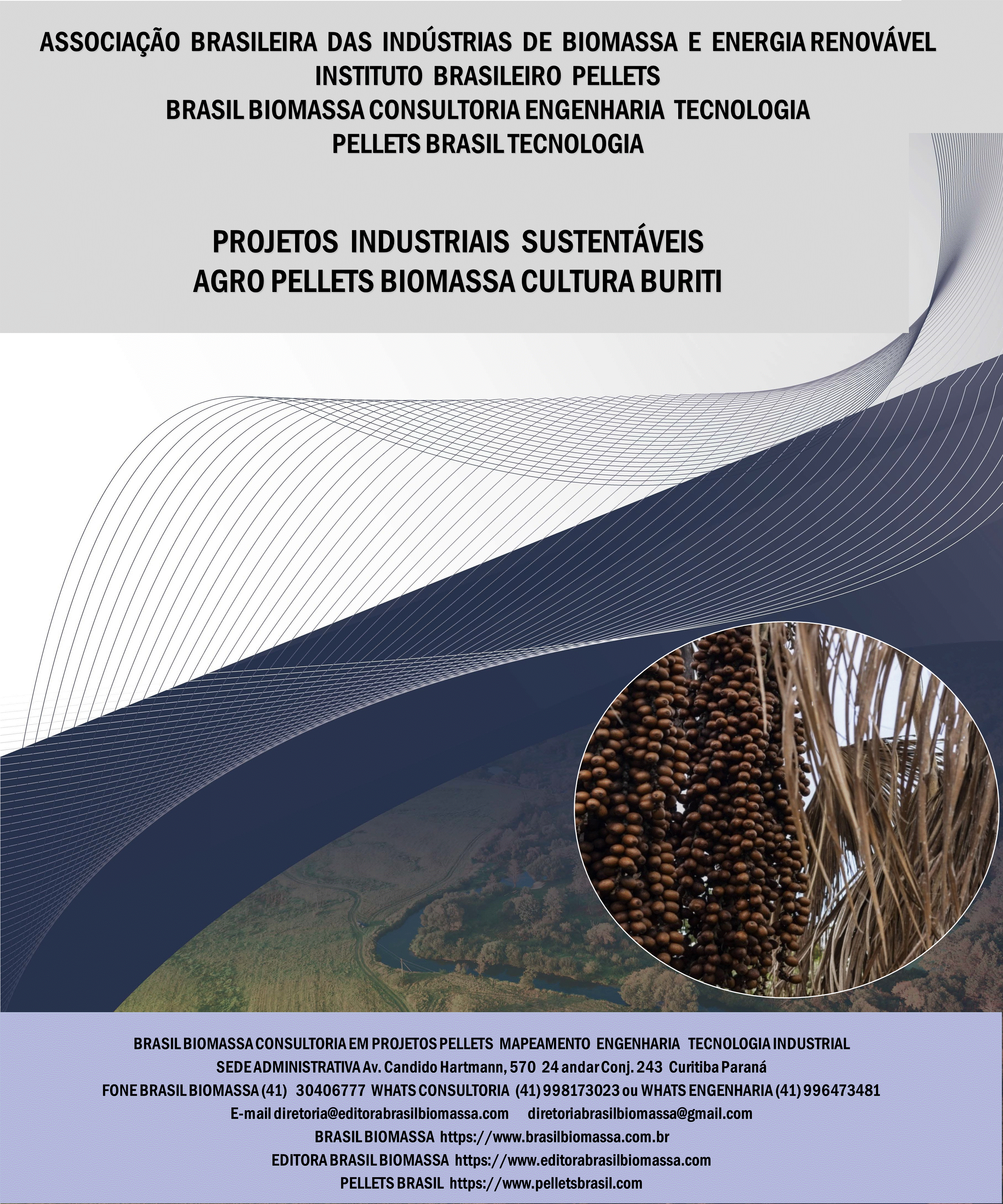 Brasil Biomassa AgroPellets Biomassa Buriti.gif