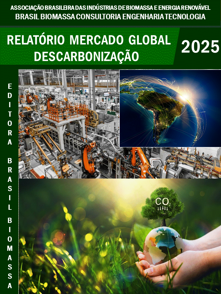 Relatorio Mercado Global Descarbonização.gif