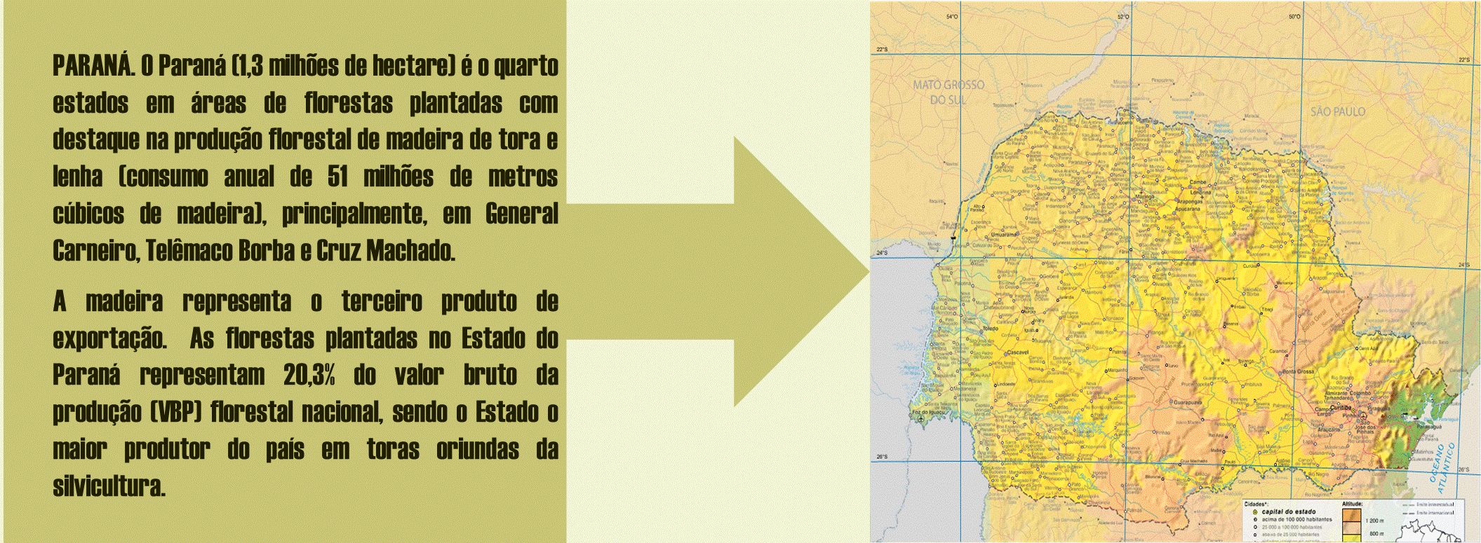 Slide11.GIF