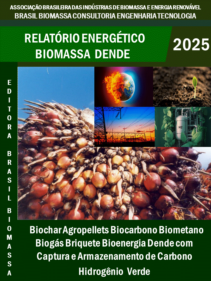 Relatório Energético Biomassa Dende.gif