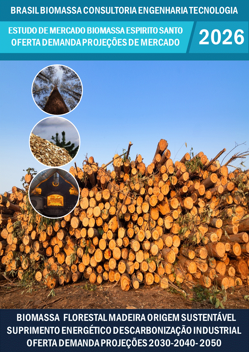 Estudo de Mercado Biomassa Florestal e da Madeira Oferta Demanda Sudeste Espirito Santo.gi