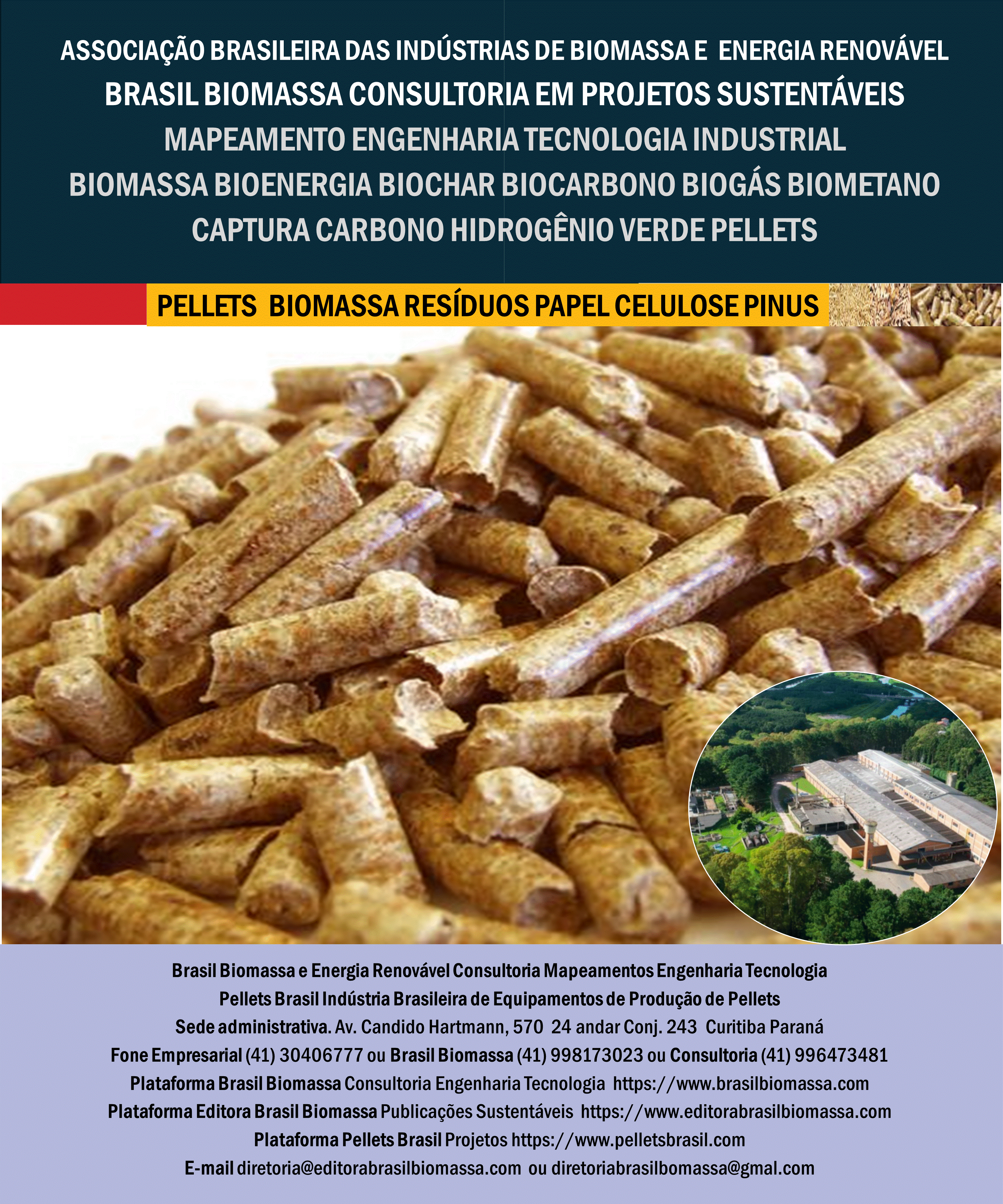 Brasil Biomassa Pellets Madeira Resíduos Industria Papel e Celulose.gif
