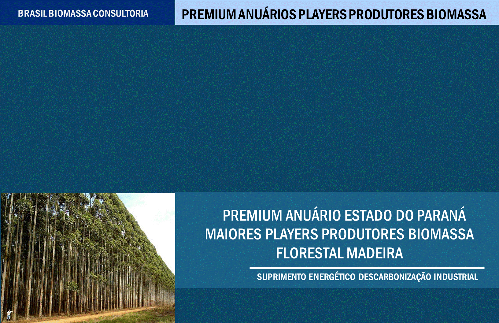 Anuario Premium Players Produtores Biomassa Parana.gif