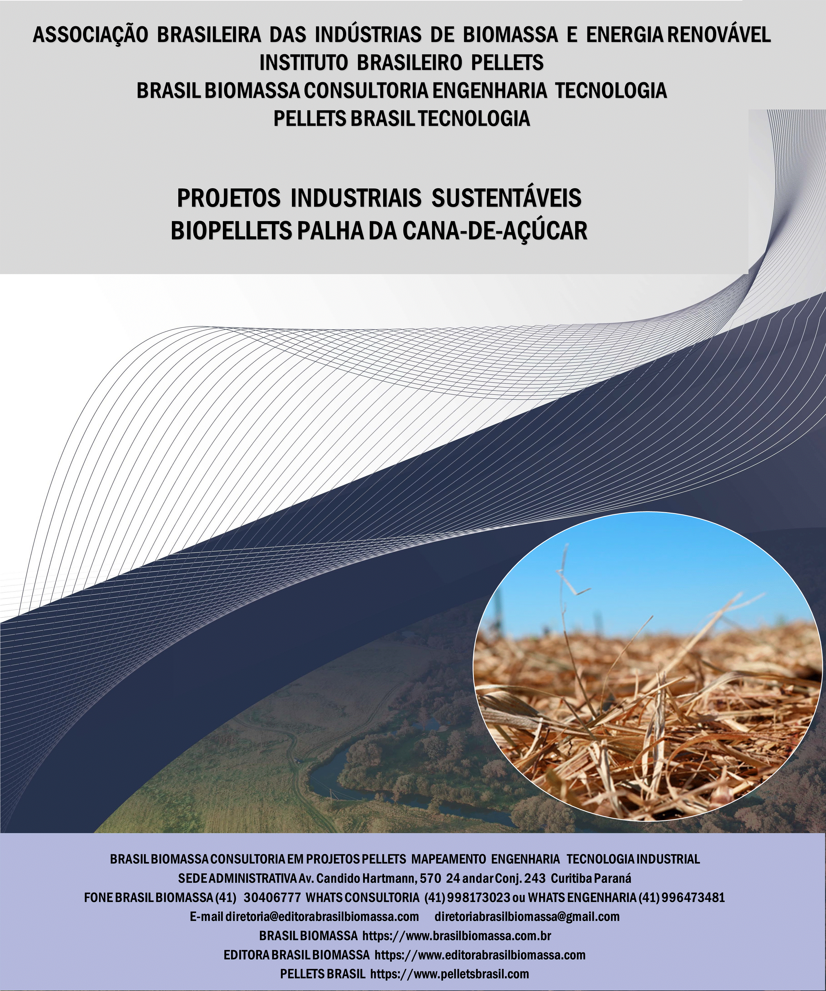 Brasil Biomassa BioPellets Palha Cana-de-açúcar.gif