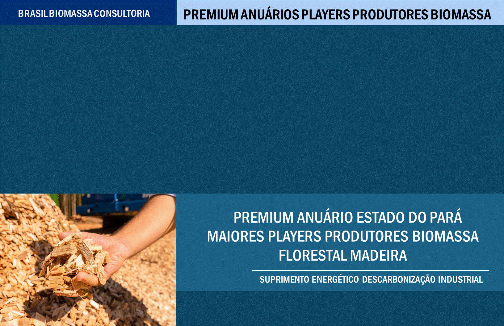 Anuario Premium Players Produtores Biomassa Para.gif