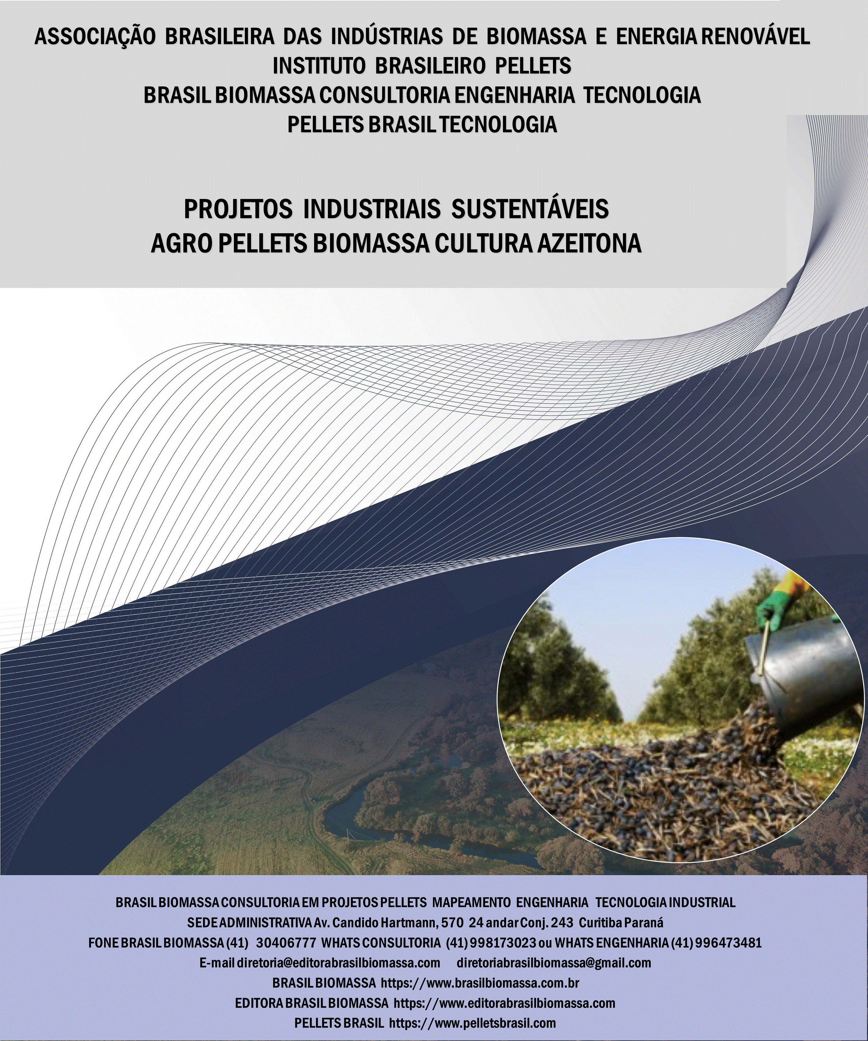 Brasil Biomassa AgroPellets Biomassa Azeitona.gif