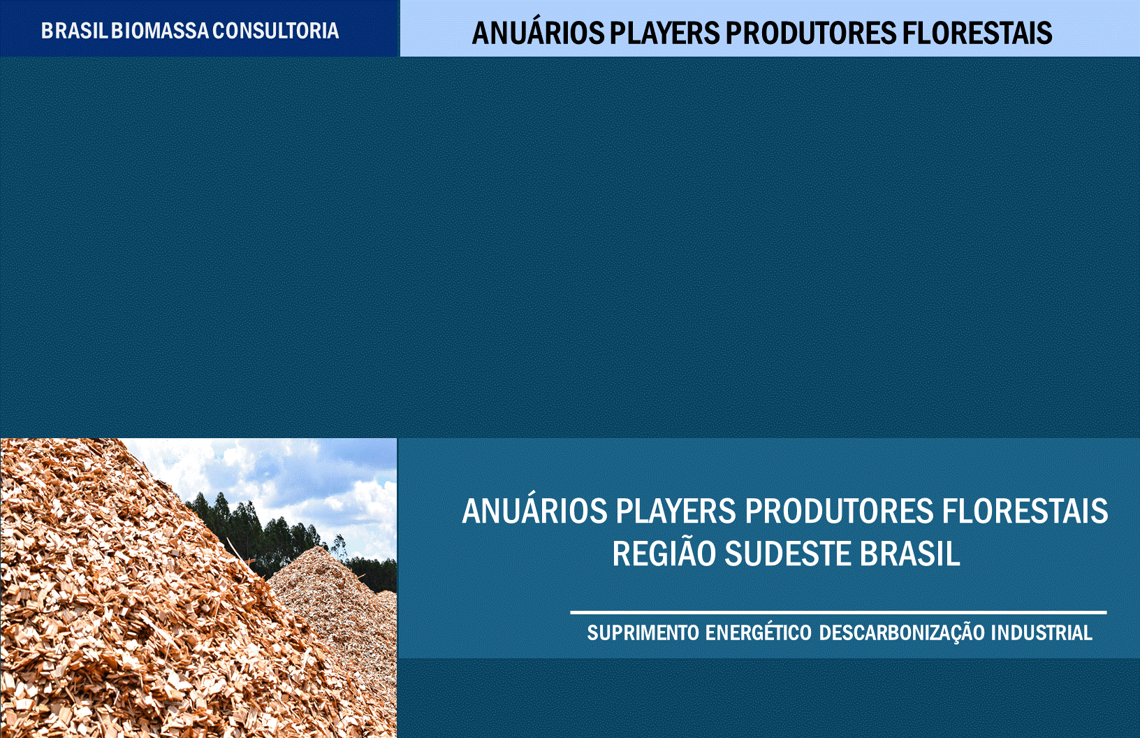 Anuarios Produtores Florestais Região Sudeste.gif