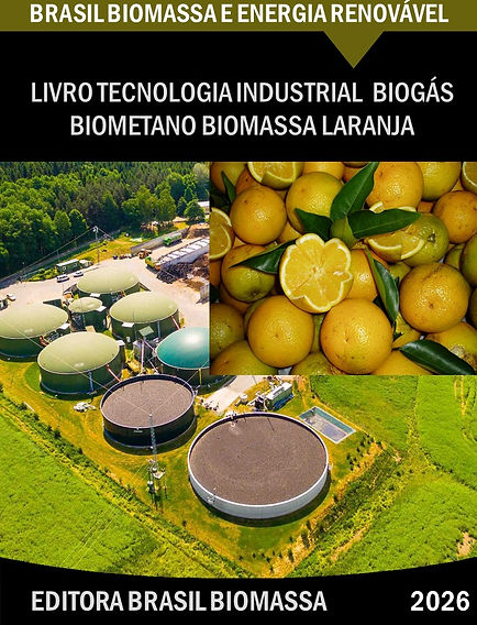 Livro Tecnologia Industrial Biogas Biometano Laranja.jpg