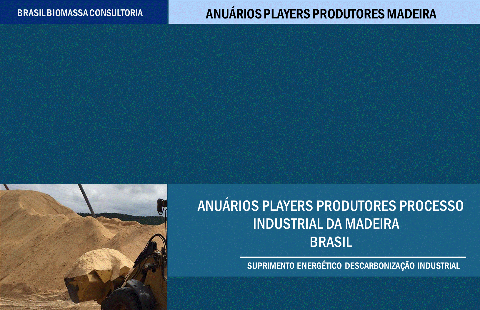 Anuarios Produtores Processo Industrial Madeira Brasil.gif