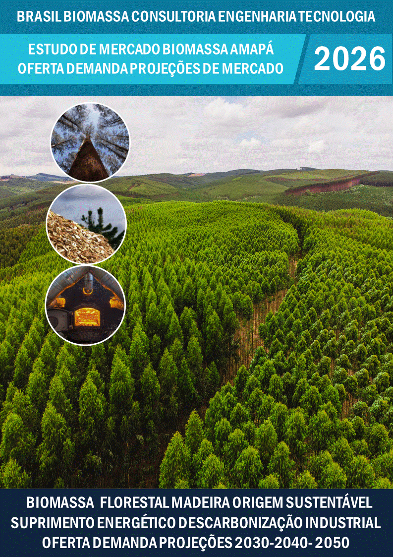 Estudo de Mercado Biomassa Florestal e da Madeira Oferta Demanda RN Amapá.gif
