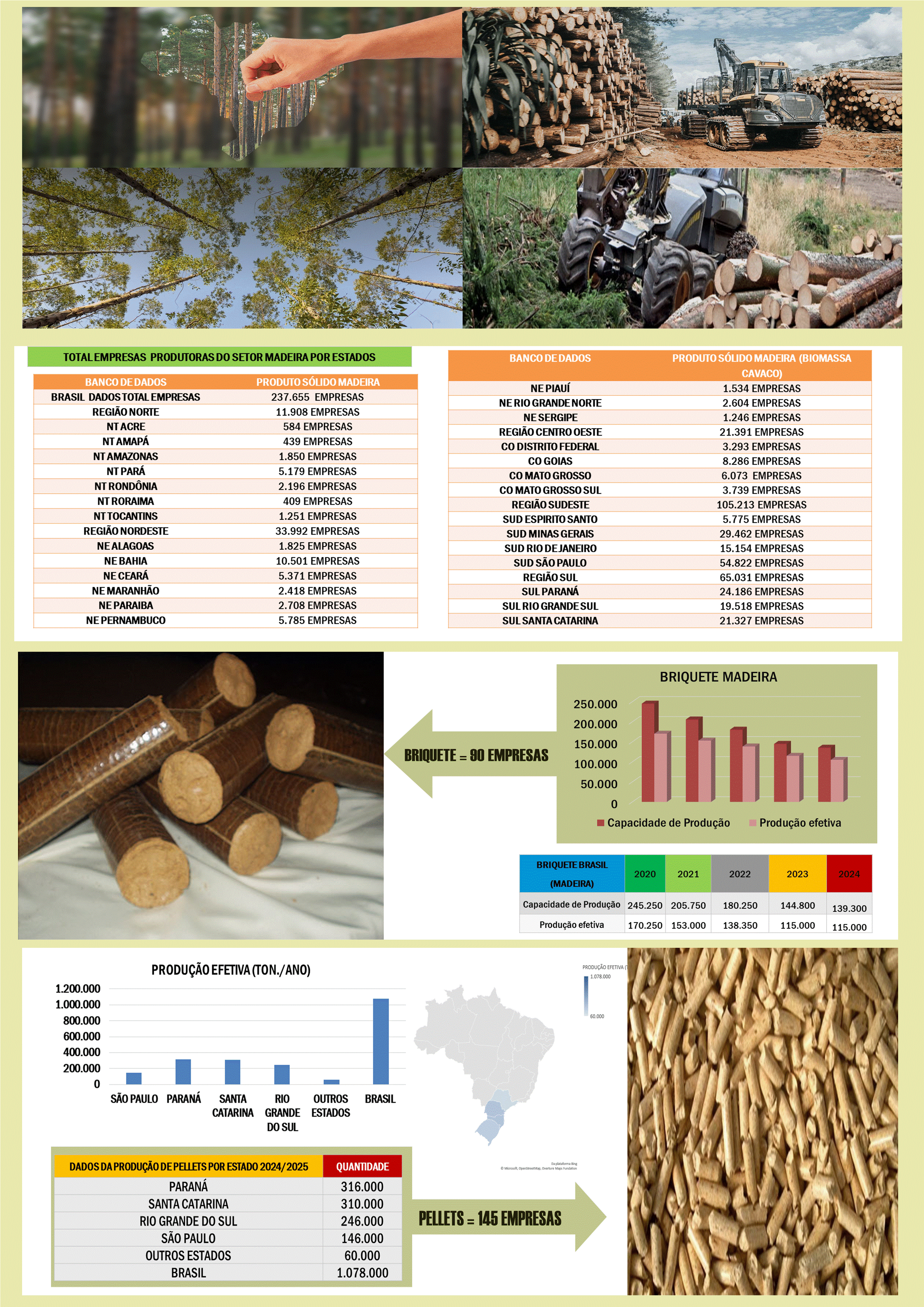Mapa Biomassa Bioenergia 5.gif