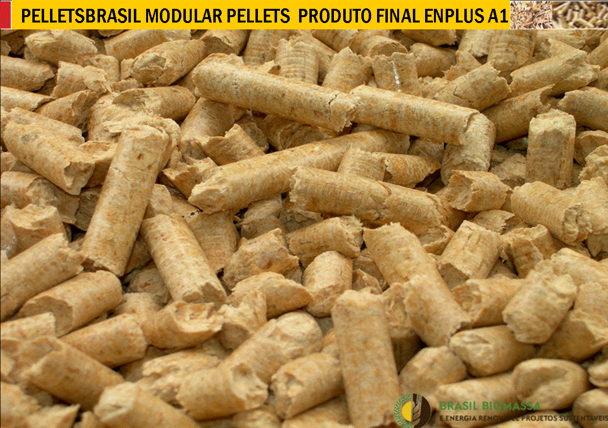 PRODUTO FINAL 1