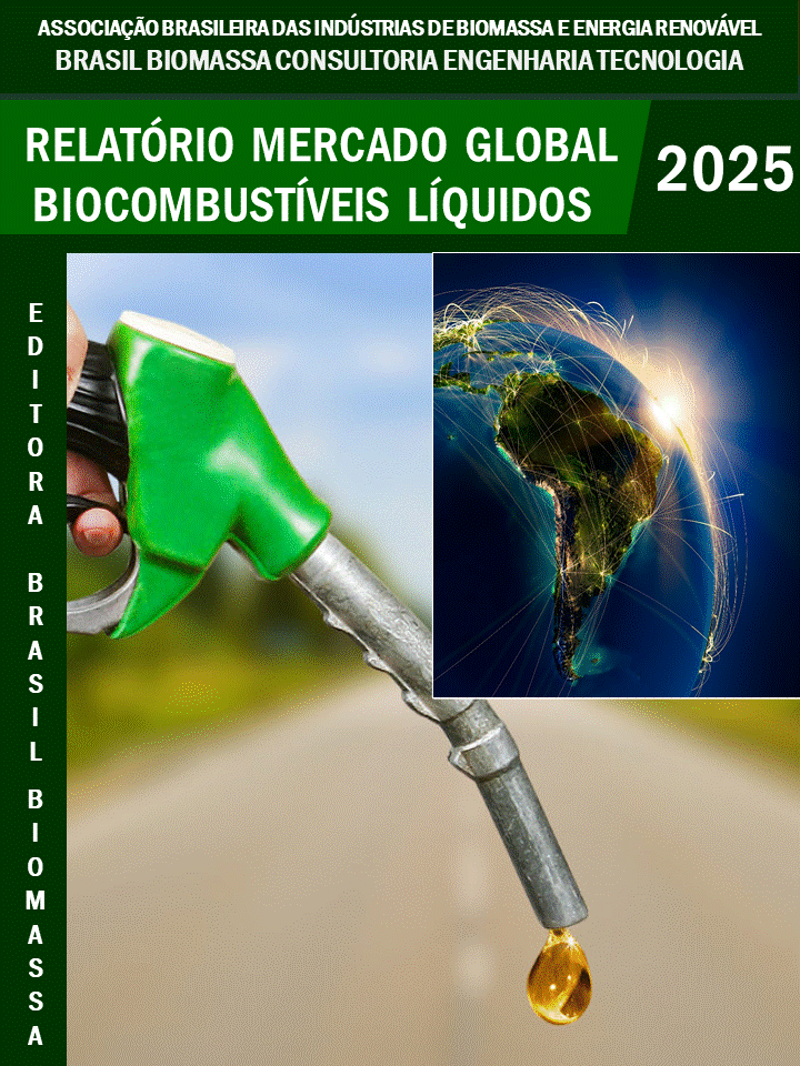 Relatorio Mercado Global Biocombustiveis Líquidos.gif