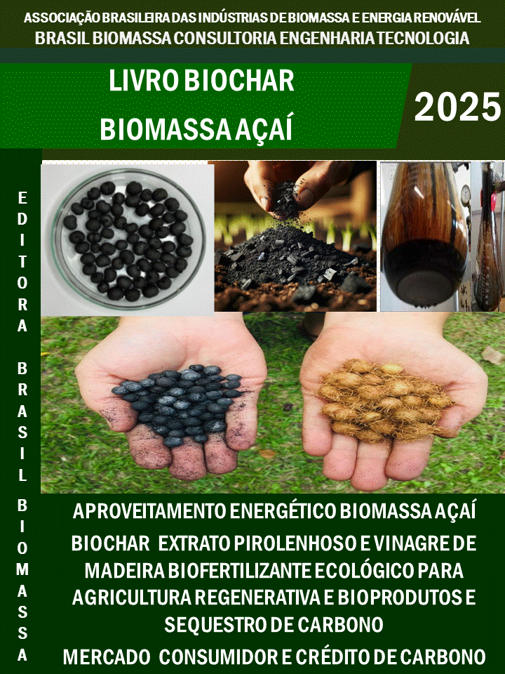 Livro Biochar Biomassa Açai.gif