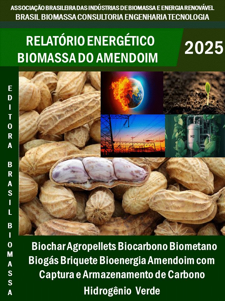 Relatório Energético Biomassa Amendoim.gif