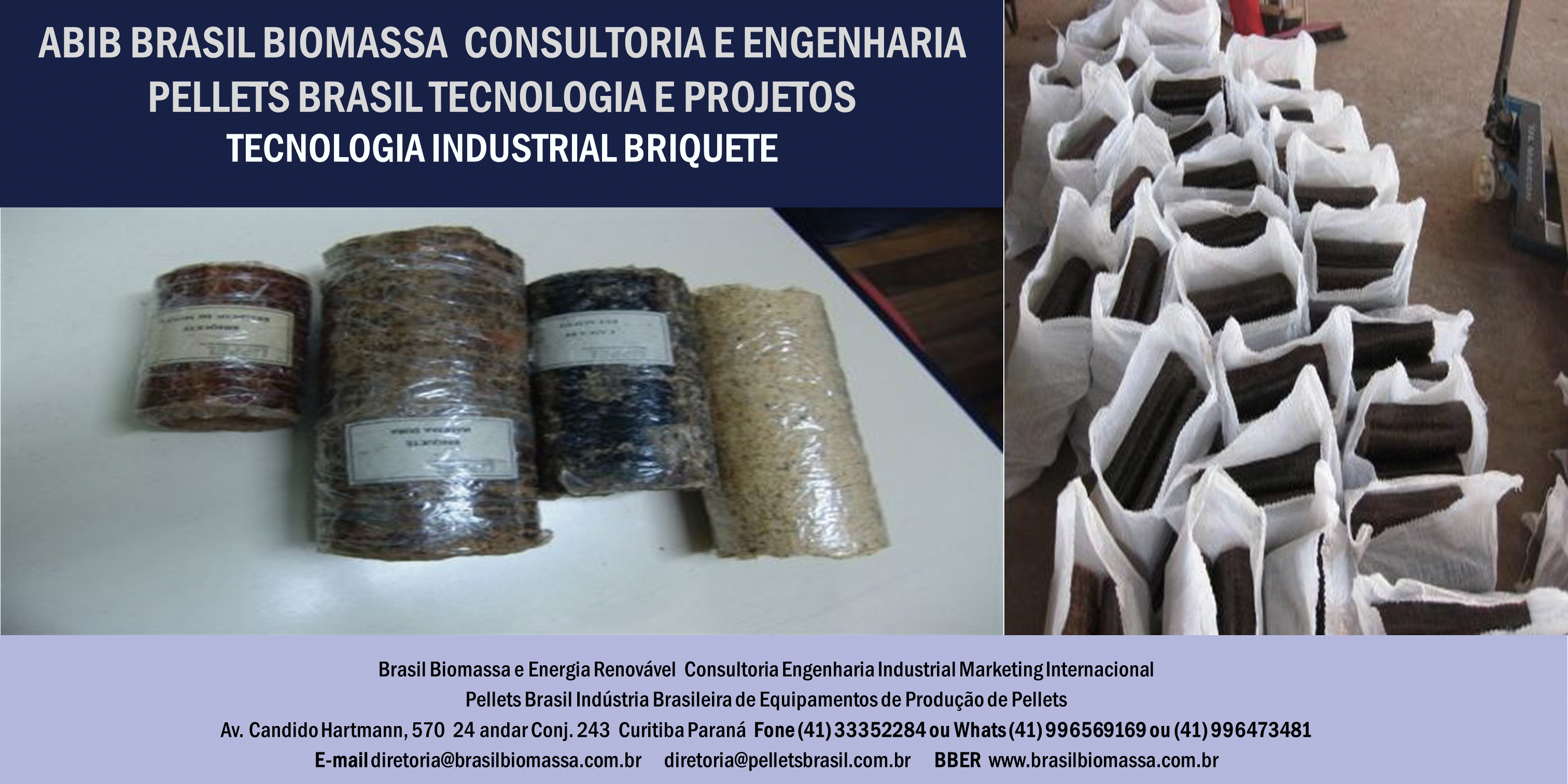 2020 Brasil Biomassa Soluções Energética