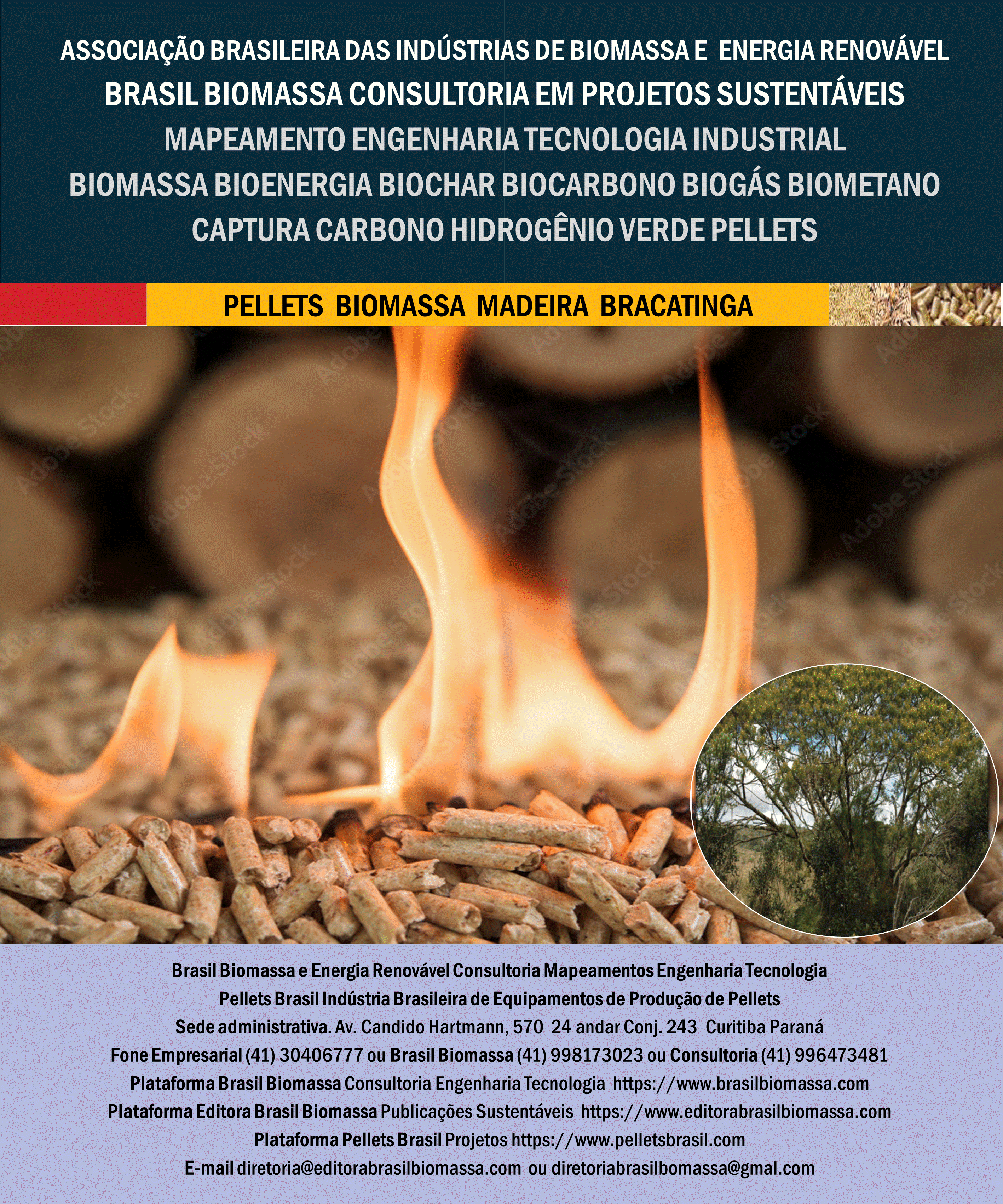 Brasil Biomassa Pellets Madeira Bracatinga.gif