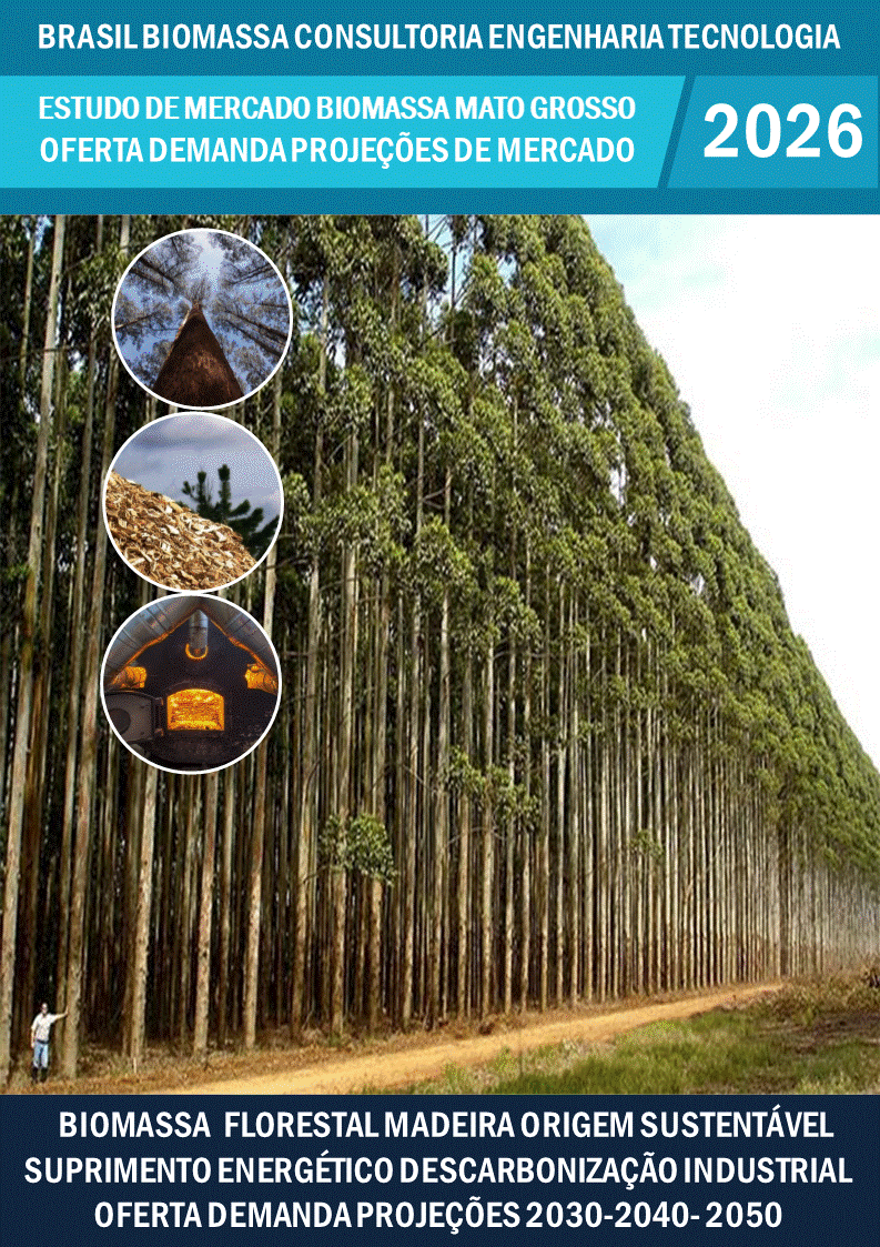 Estudo de Mercado Biomassa Florestal e da Madeira Oferta Demanda CO Mato Grosso.gif