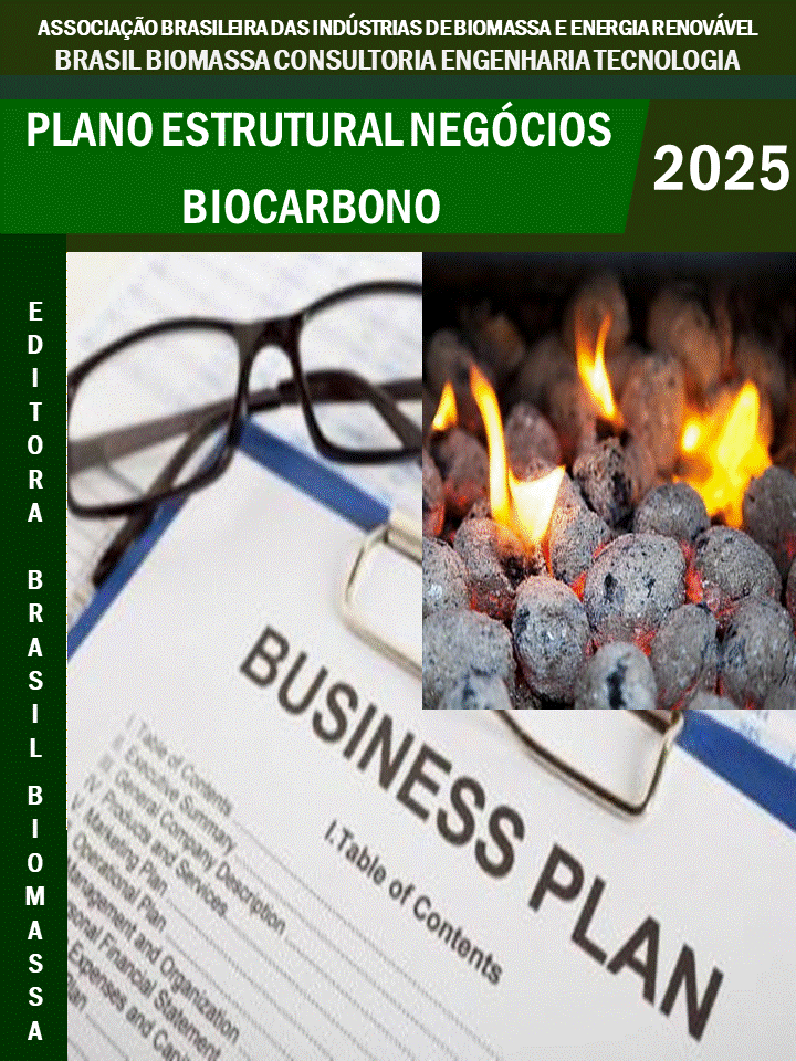 11 Plano Negócios Biocarbono.gif