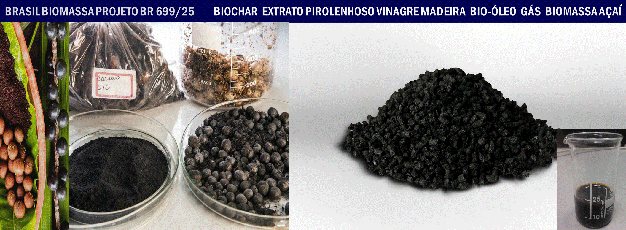 Biochar Açai.gif