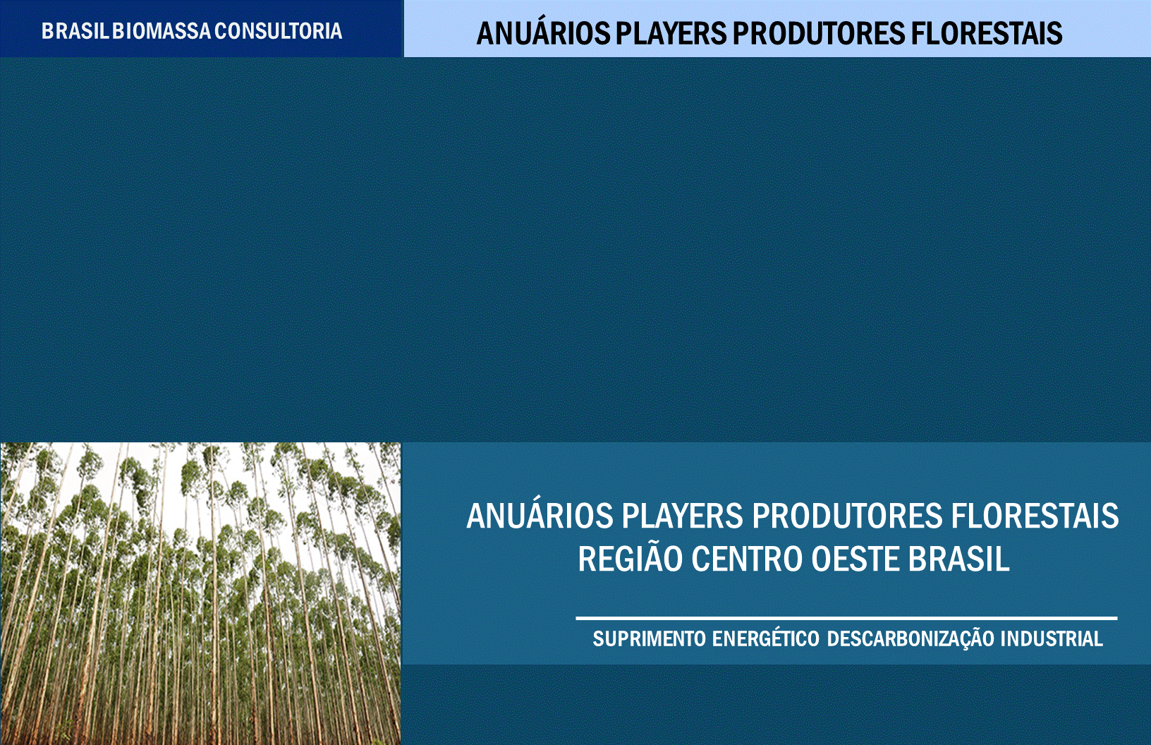 Anuarios Produtores Florestais Região Centro Oeste.gif