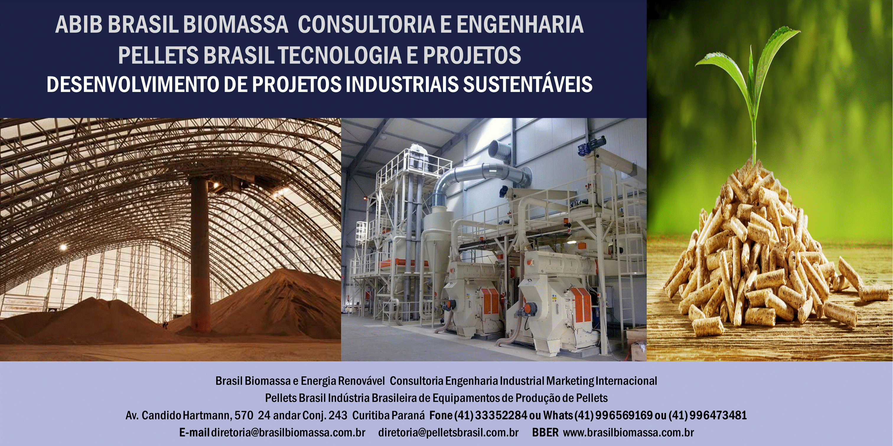 2020 Brasil Biomassa Pellets Business.gi