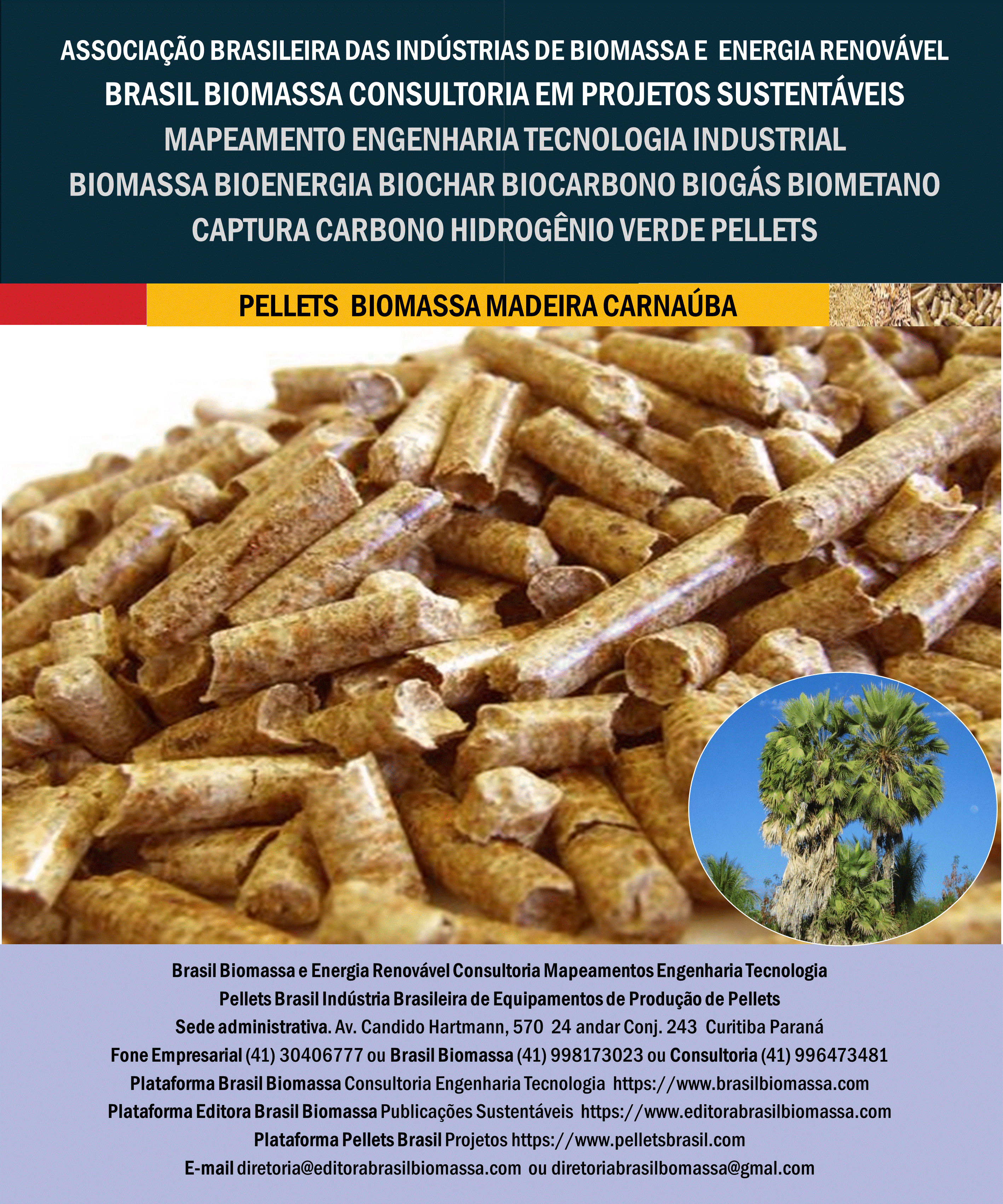 Brasil Biomassa Pellets Madeira Carnaúba.gif
