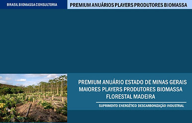 Anuario Premium Players Produtores Biomassa SUD Minas Gerais.jpg