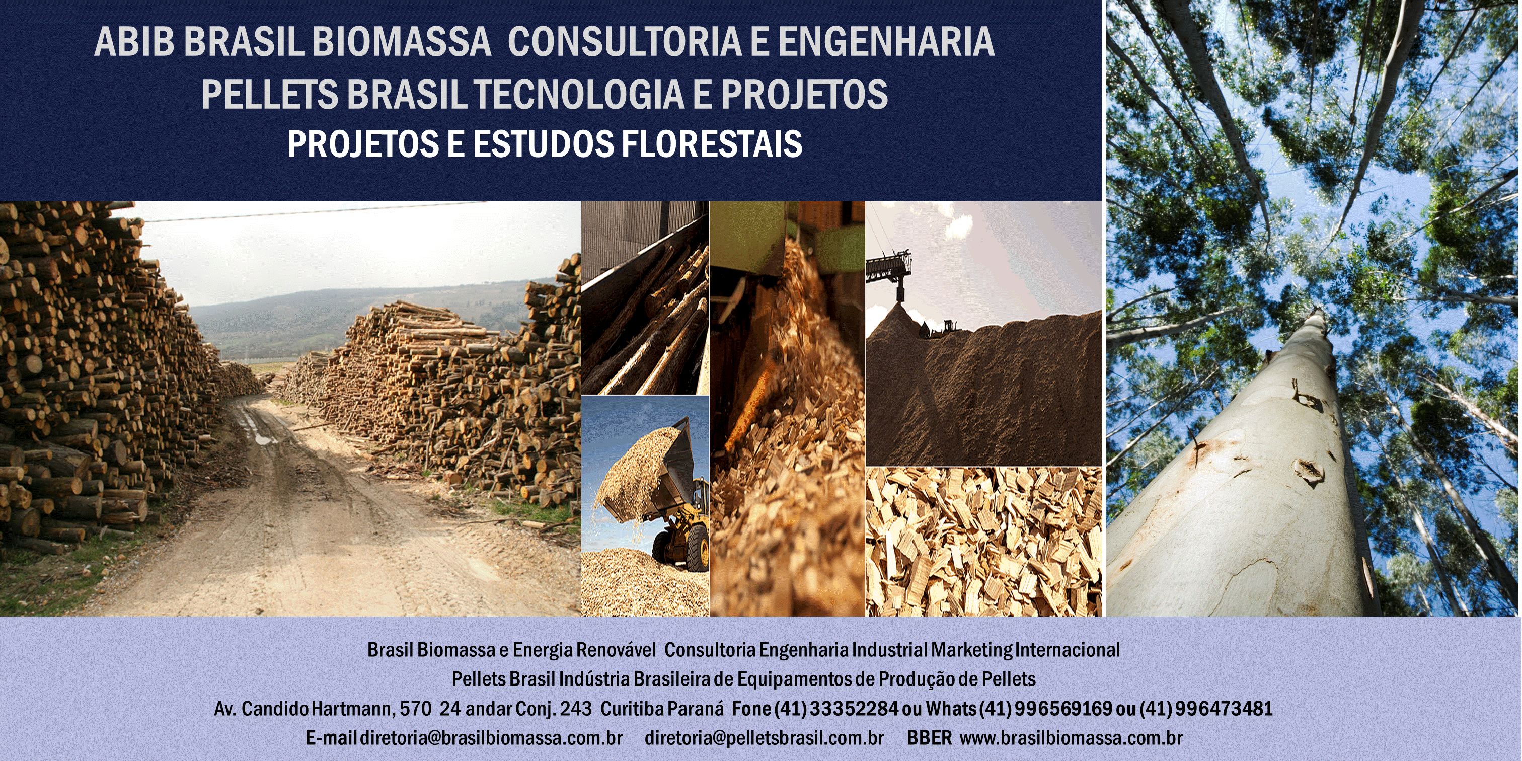 2020 Brasil Biomassa Soluções Energética