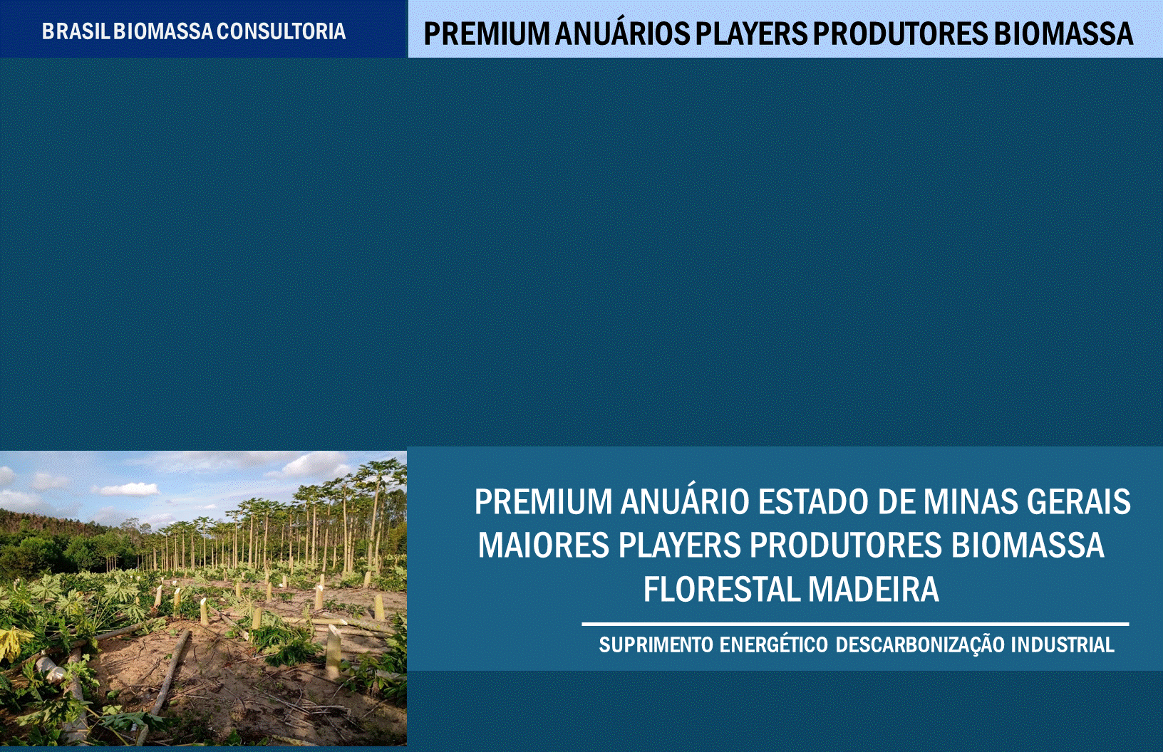 Anuario Premium Players Produtores Biomassa Minas Gerais.gif