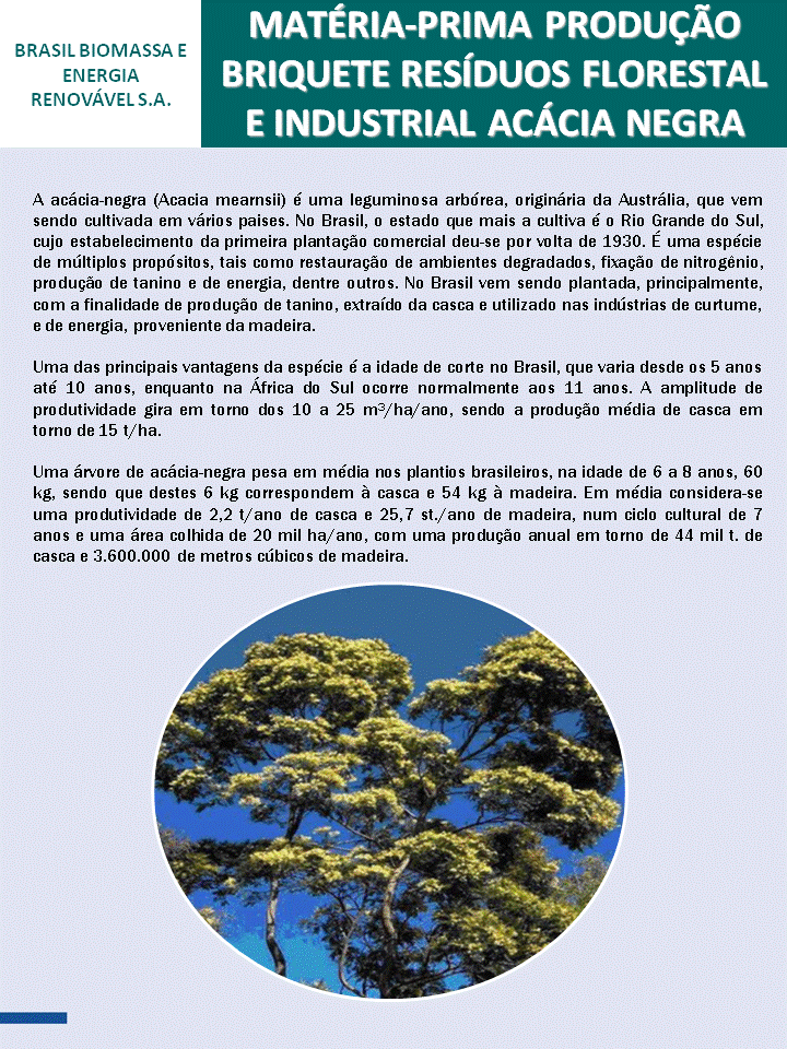Slide31.GIF