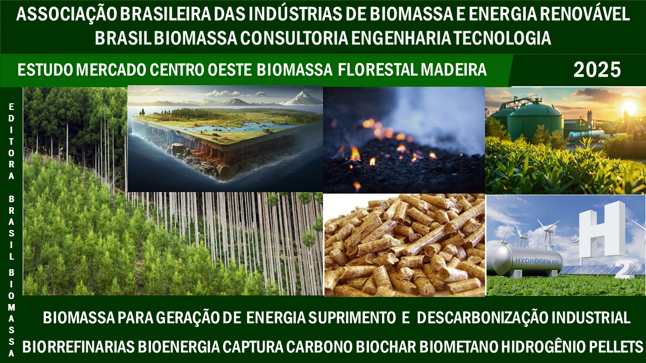 2025 Estudo de Mercado Biomassa Florestal e Madeira Região Centro Oeste.gif