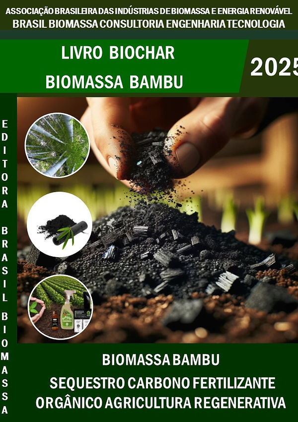 Livro Biochar Biomassa do Bambu.jpg