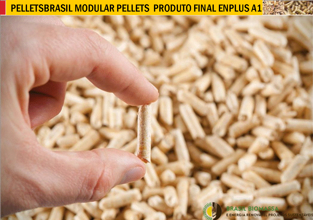 PRODUTO FINAL