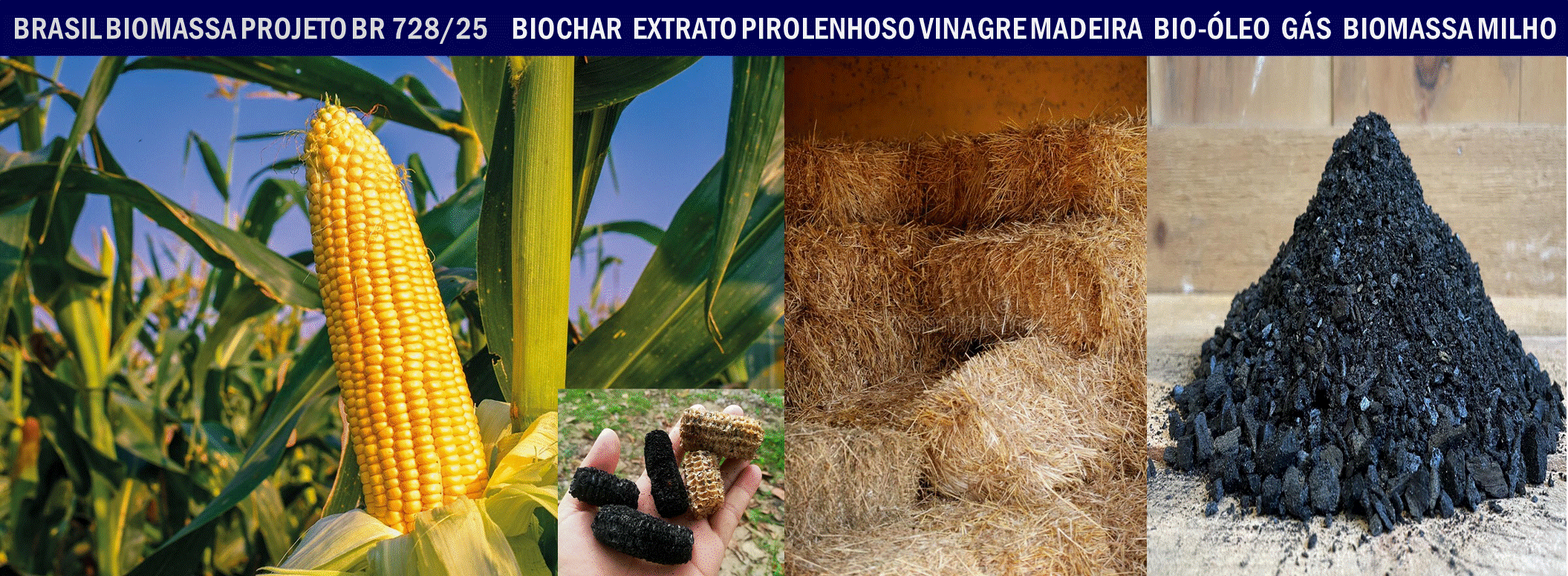 Biochar Milho.gif