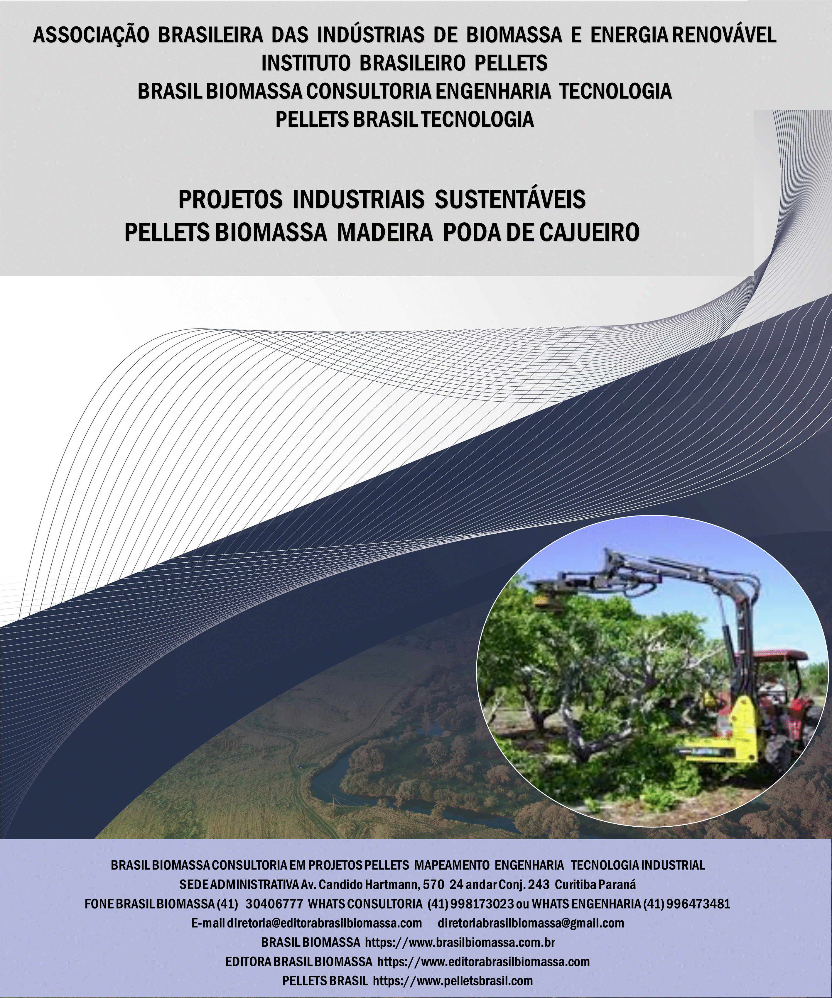 Brasil Biomassa Pellets Madeira Poda do Cajueiro.gif