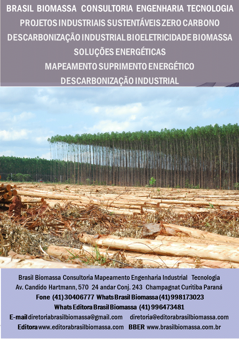 Brasil Biomassa Consultoria Mapeamento Engenharia Tecnologia Descarbonização.gif