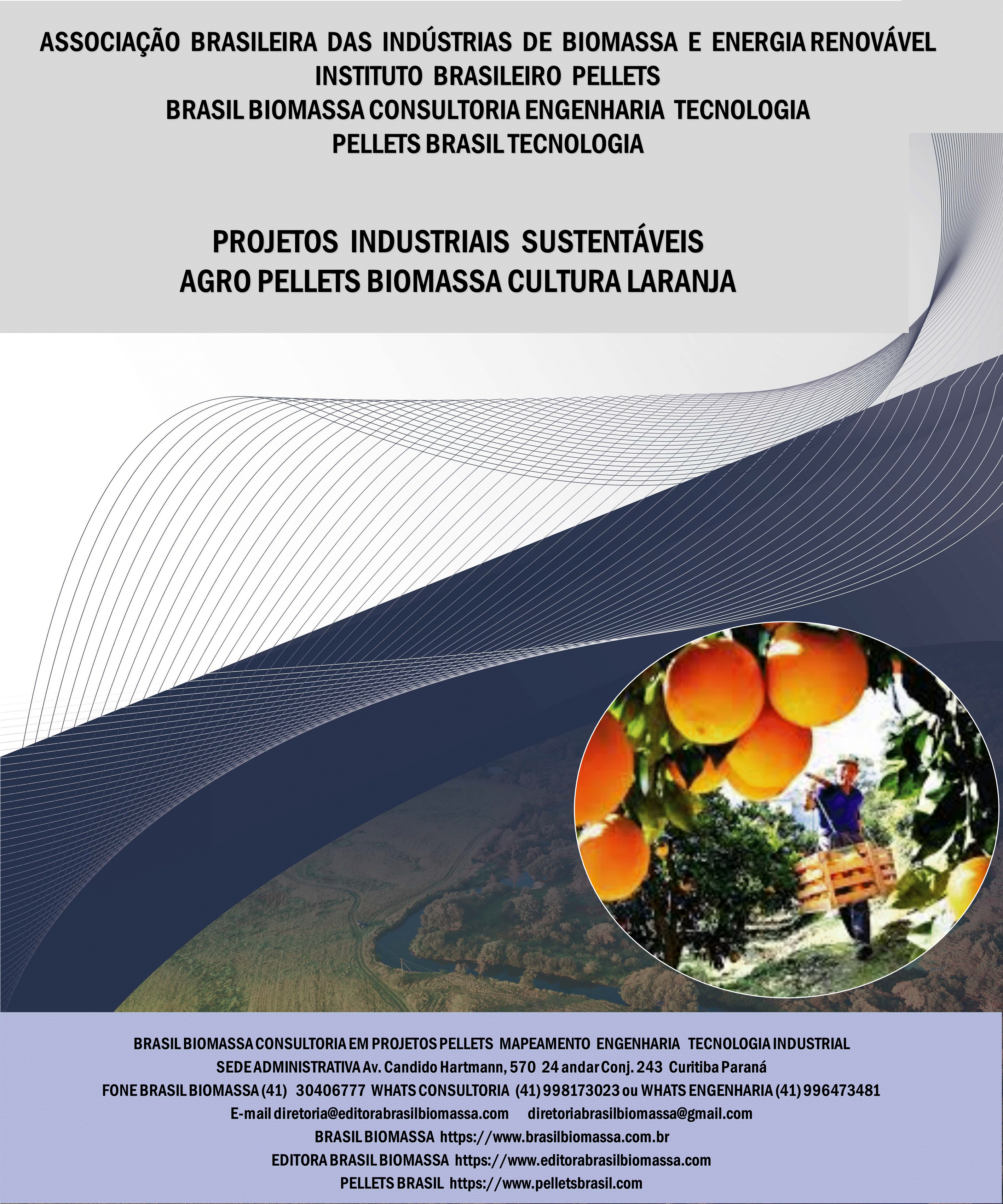Brasil Biomassa AgroPellets Biomassa Laranja.gif