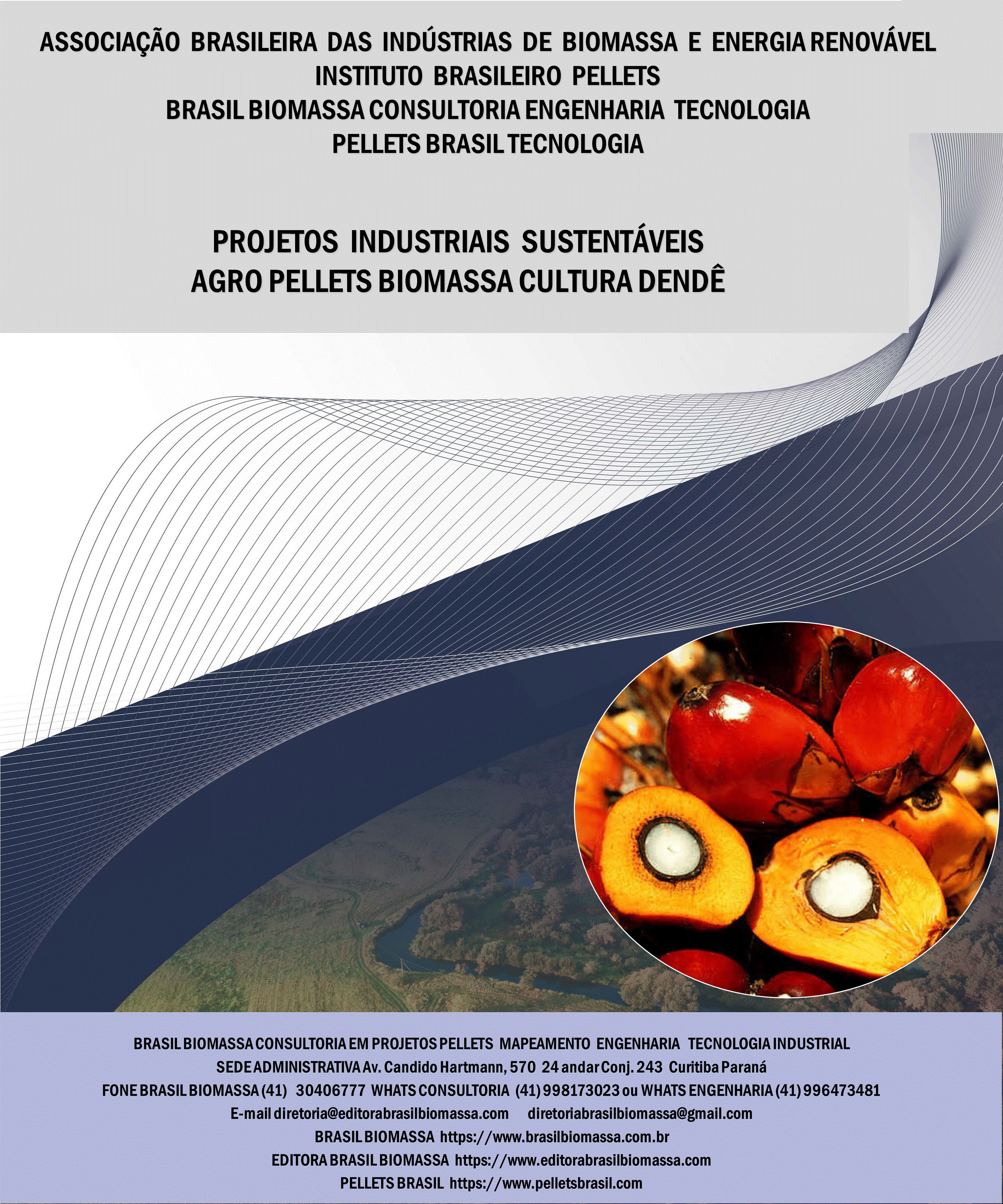 Brasil Biomassa AgroPellets Biomassa Dende.gif