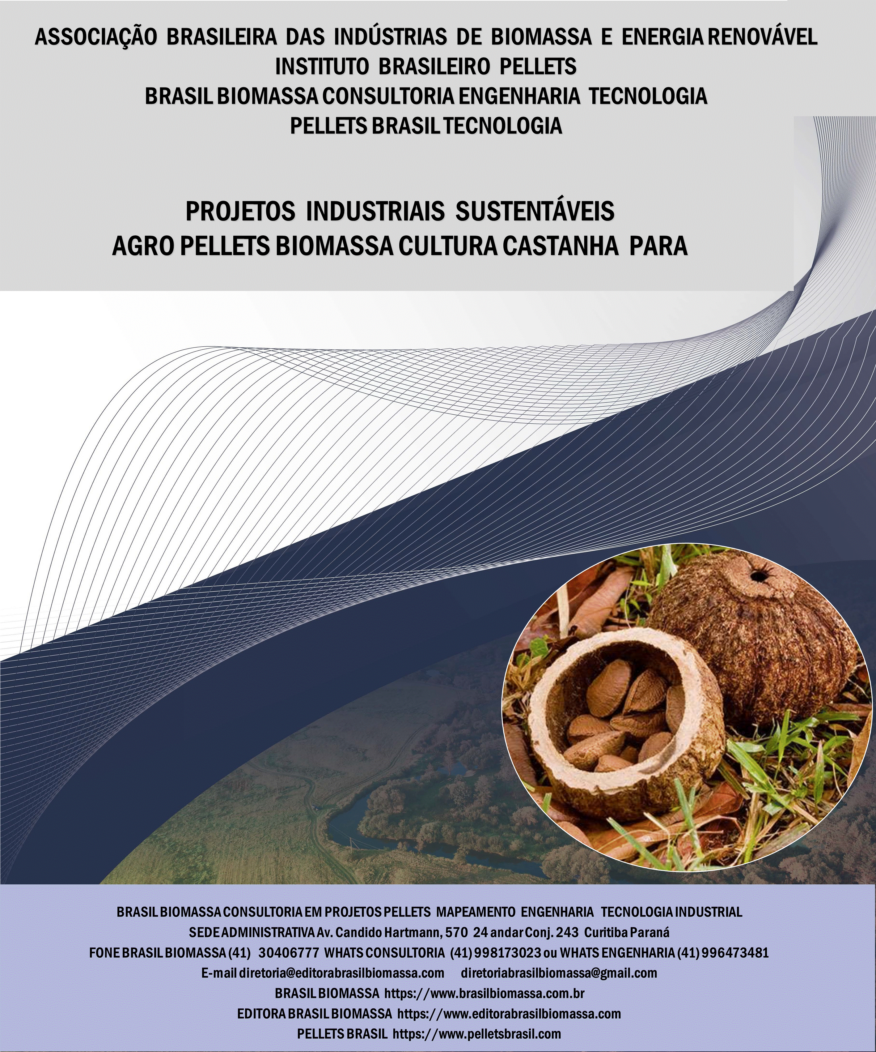 Brasil Biomassa AgroPellets Biomassa Castanha Para.gif