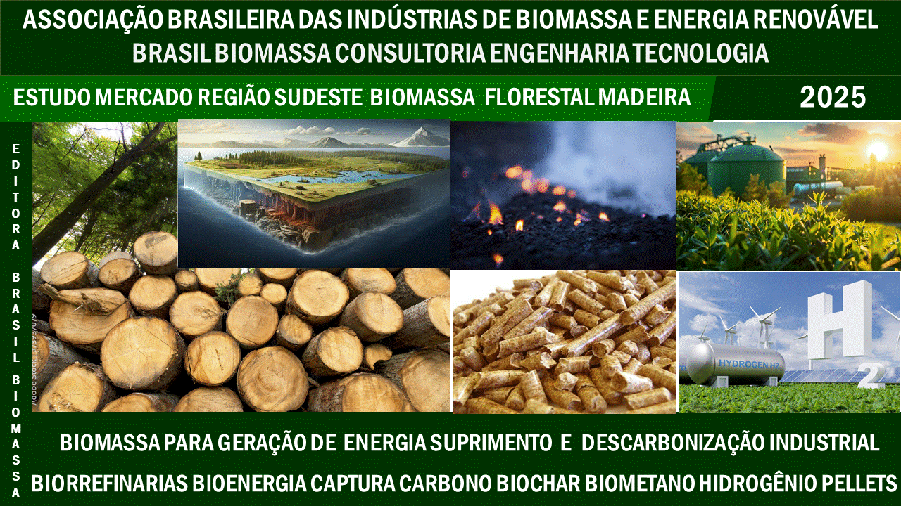 2025 Estudo de Mercado Biomassa Florestal e Madeira Região Sudeste.gif