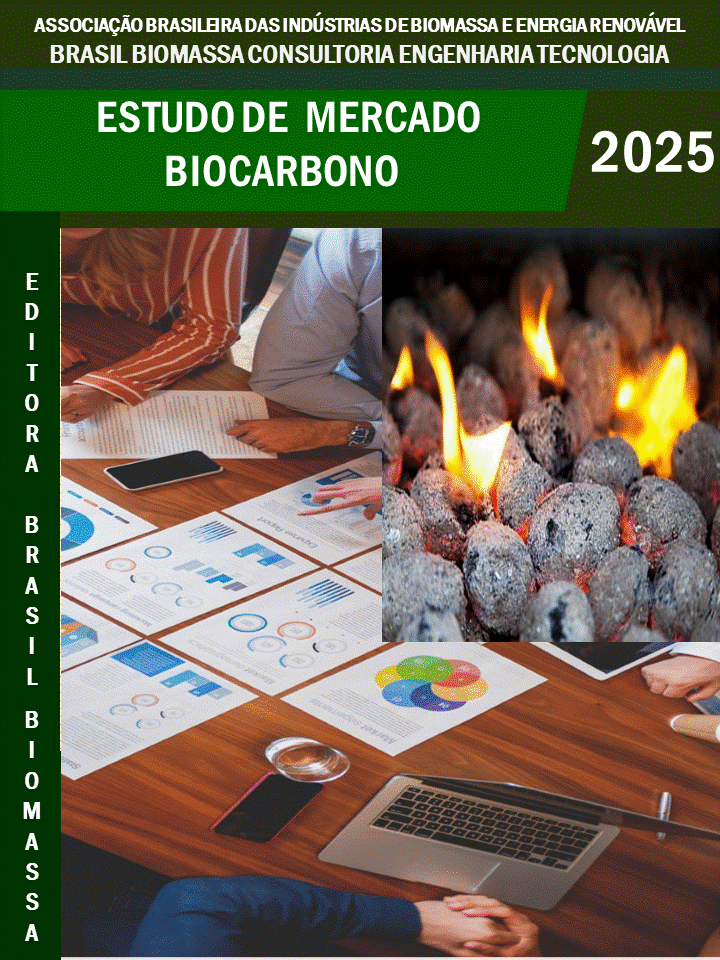13 Estudo Mercado Biocarbono.gif