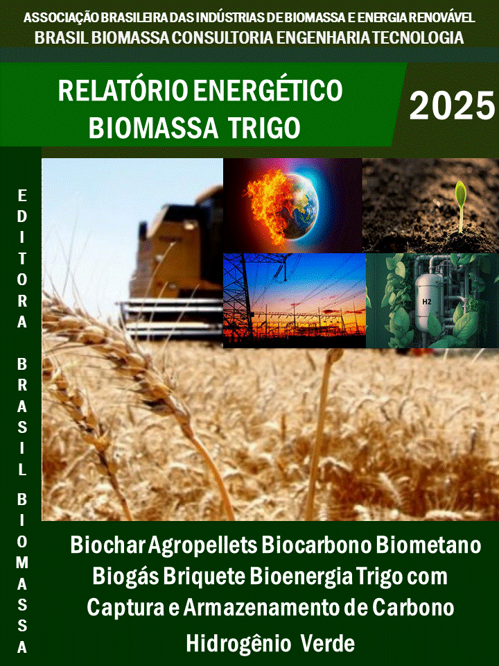 Relatório Energético Biomassa Trigo.gif