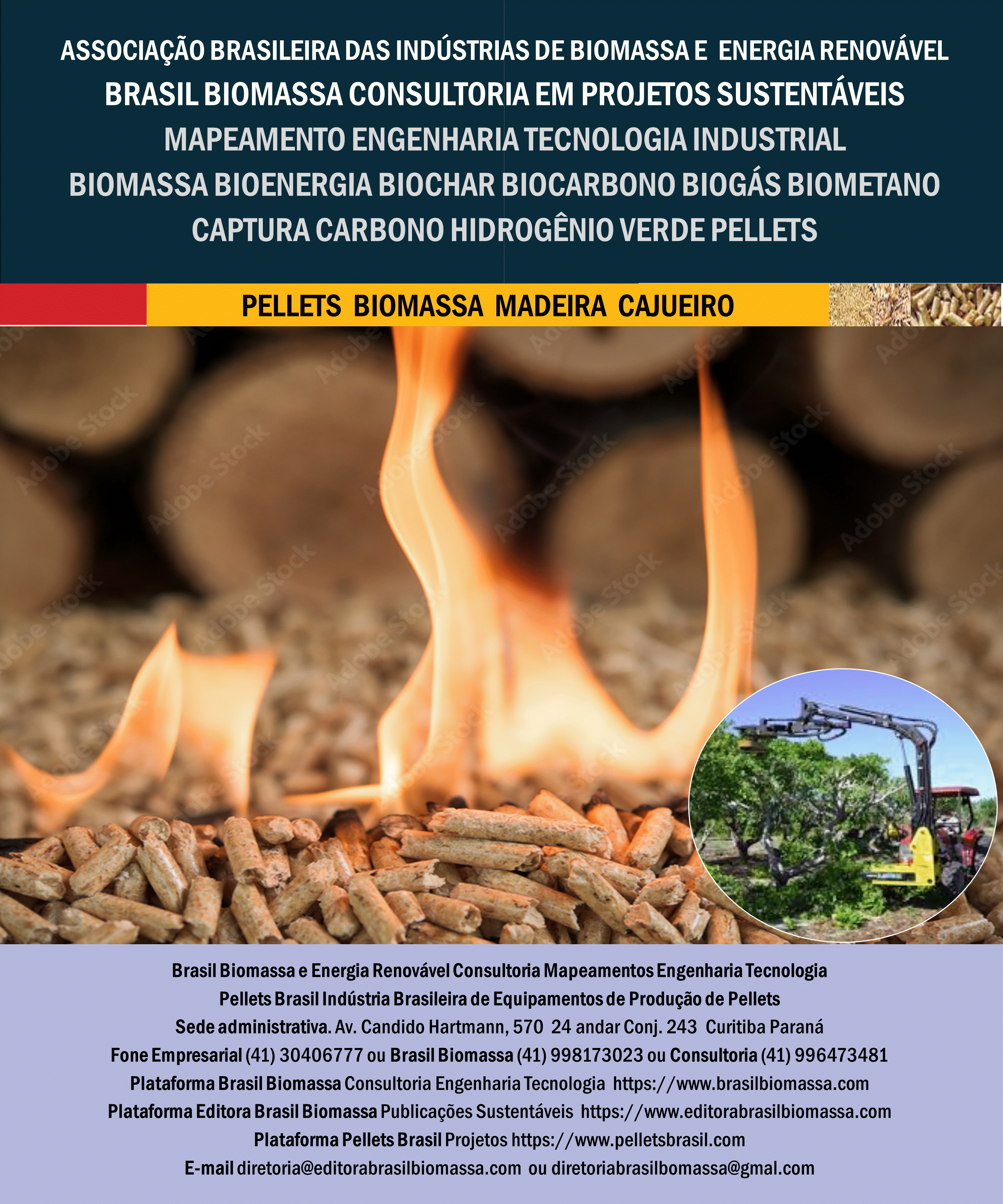 Brasil Biomassa Pellets Madeira Cajueiro.gif