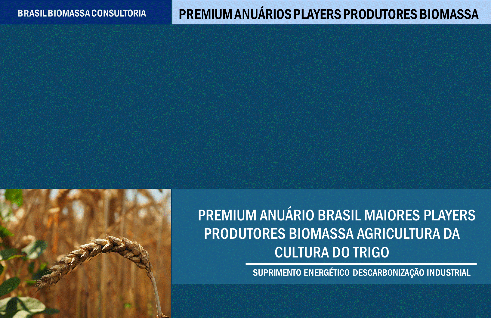 Anuario Premium Players Produtores Biomassa Agricultura Cultura do Trigo.gif