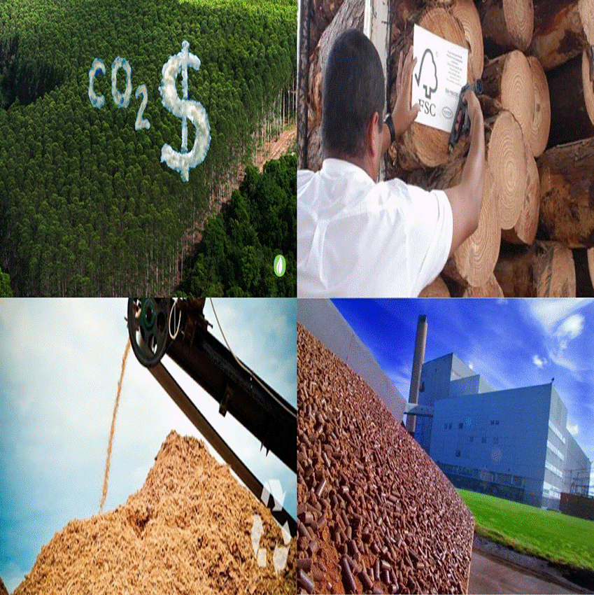 Slide25.GIF
