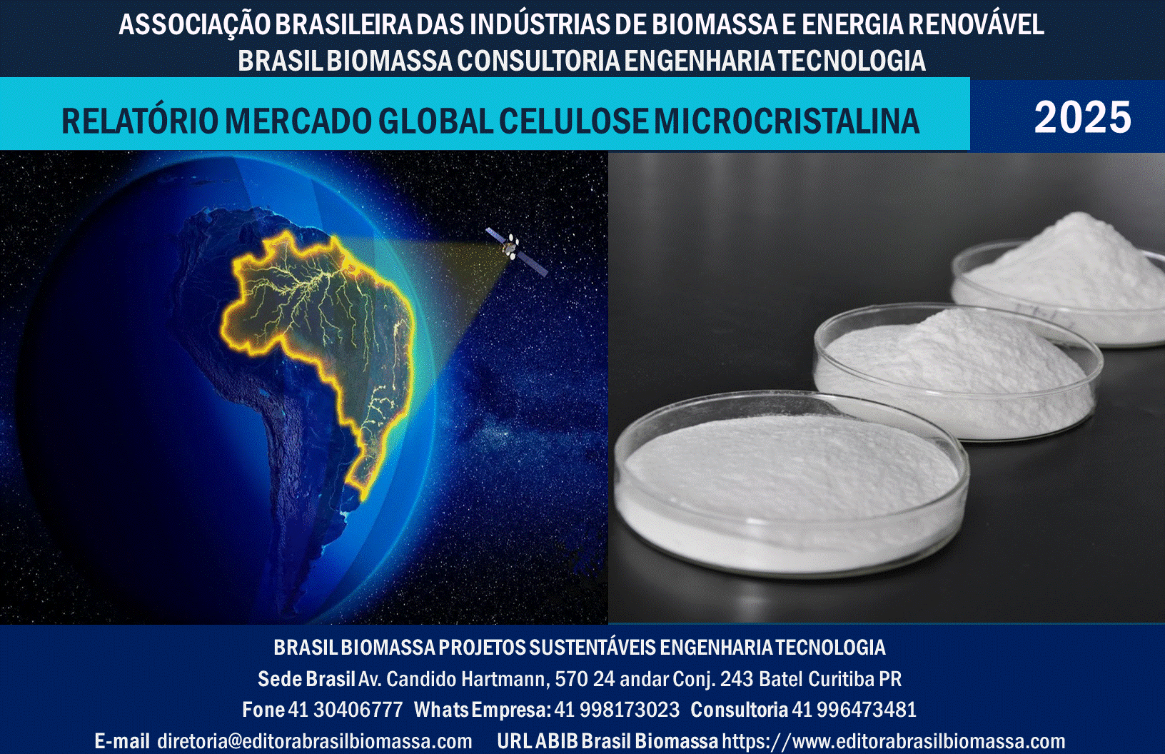 Relatório Mercado Global de Celulose Microcristalina.gif