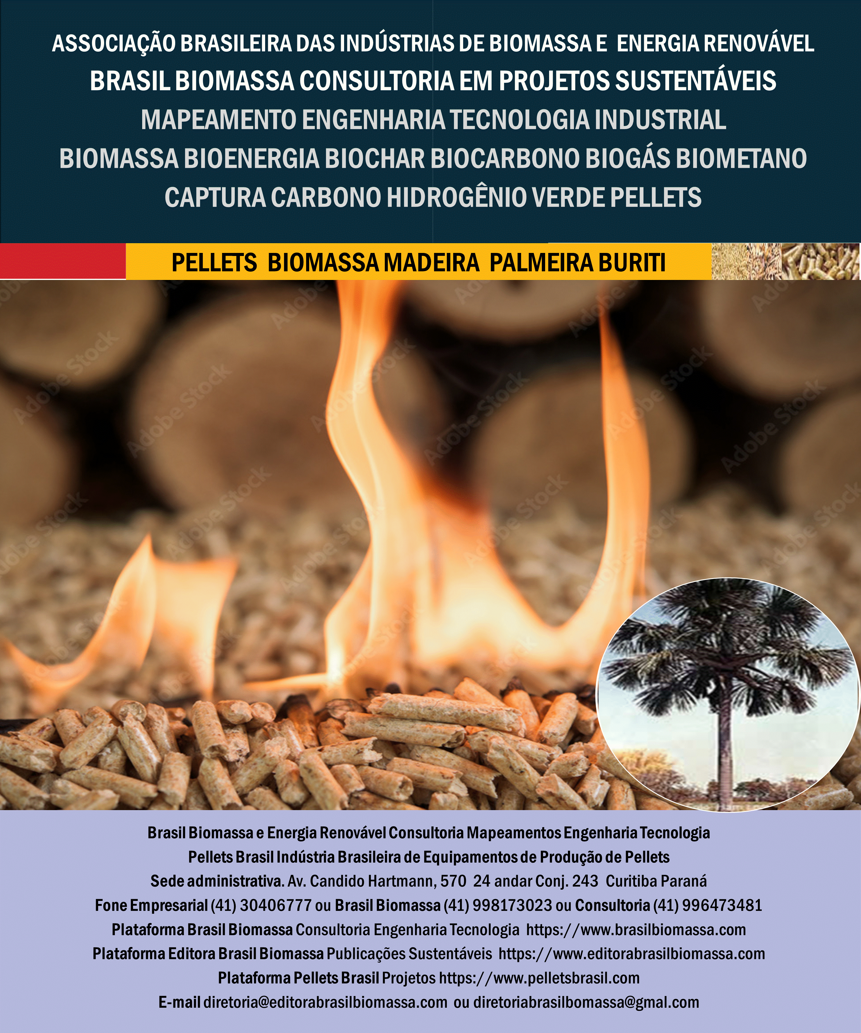 Brasil Biomassa Pellets Madeira Palmeira Buriti.gif