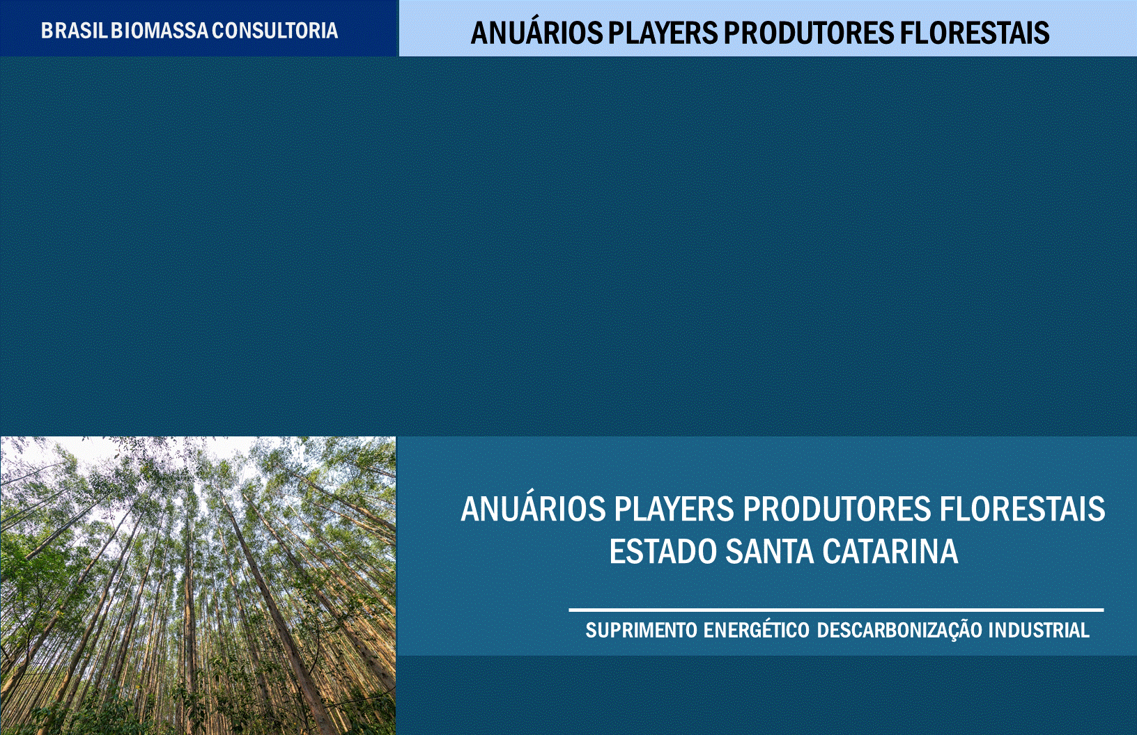 Anuarios Produtores Florestais Estado  Santa Catarina.gif