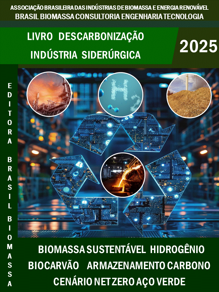 Livro Descarbonizao Indústrias Siderúrgicas.gif